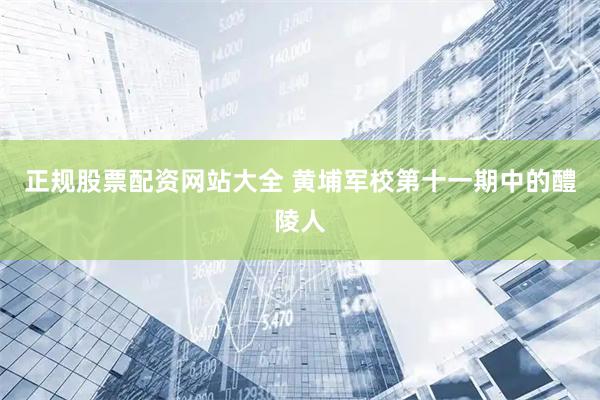 正规股票配资网站大全 黄埔军校第十一期中的醴陵人